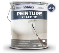 Peinture Plafond - 20 L - Codeve Bois - RAL 9010 - Blanc pur