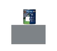 Peinture sol haute résistance satin gris loft 2,5L Ripolin