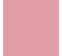 Peinture Radiateur - Fonte acier alu chauffage toutes couleurs PEINTURE RADIATEUR Ral 3015 Rose Clair Kit 1 Kg jusqu'a 5m² pour 2 couches