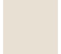 Peinture Radiateur - Fonte acier alu chauffage toutes couleurs PEINTURE RADIATEUR RAL 9001 Blanc crème Kit 1 Kg jusqu'a 5m² pour 2 couches