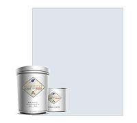 Peinture Résine Gris Innocent - Résine Epoxy Bi-Composants - Effet Brillant - Peinture Mur, Plafond, Boiserie, Carrelage & Métal - Lessivable - COV Fabriquée En France - 750 ml - BARBOUILLE