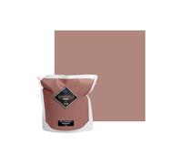 Peinture Rose Poudré Foncé Acrylique En Voiture Simone - Aspect Satin - Peinture Mur, Plafond, Boiserie & Balcon - Lessivable - Séchage En 30 min - COV Fabriquée En France - 5 L - BARBOUILLE
