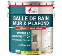 Peinture Salle de Bain Anti-Condensation Mur Plafond 10 L Jaune soufre | Anti-Condensation, Limite les Moisissures, Lessivable, Murs et Plafonds, Salle de Bain, Mat - Arcane Industries