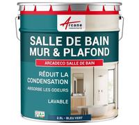 Peinture salle de bain mur plafond condensation Bleu vert RAL 5001 2.5 L