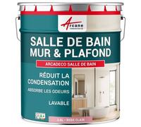 Peinture salle de bain mur plafond condensation Rose Clair - RAL 3015 2.5 L