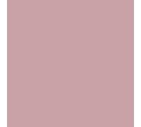 Peinture salle de bain mur plafond condensation Rose poudré RAL 010 70 15 10 L