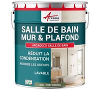 Peinture salle de bain mur plafond condensation Vert Réséda - RAL 6011 2.5 L
