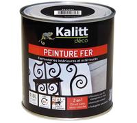 Peinture Spécial Fer - Noir Brillant 0.5 L