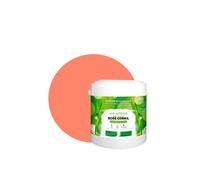 PEINTURE Teinte Rose Corail murale naturelle écologique aspect mat intérieur Natura - 2,5L - 33m