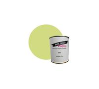 PEINTURE Teinte Vert Anis murale acrylique aspect mat Aqua Déco - 750 ml - 7.5m²