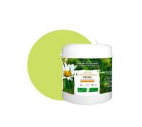 PEINTURE Teinte Vert Anis naturelle écologique intérieur extérieur aspect velours Natura - 2.5L - 33m