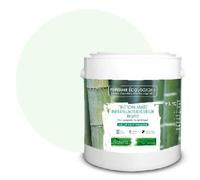 PEINTURE Teinte Vert D eau naturelle écologique intérieur extérieur aspect mat Natura - 2.5L 33m