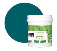 PEINTURE Teinte Vert Jade murale naturelle écologique aspect mat intérieur Natura - 1L - 13m