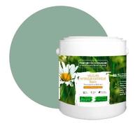 PEINTURE Teinte Vert Sauge naturelle écologique intérieur extérieur aspect velours Natura - 2.5L 33m