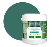 PEINTURE Teinte Vert Tropical naturelle écologique intérieur extérieur aspect mat Natura - 2.5L 33m