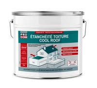 Peinture toiture étanche Cool Roof peinture réfléchissante blanche 10 litres Blanc