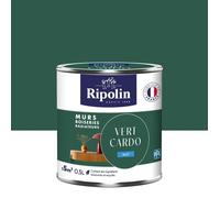 Peinture vert cardo mur, boiserie, radiateur RIPOLIN mat 0.5 l
