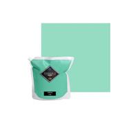 Peinture Vert Menthe Acrylique Opium - Effet Mat-Poudré - Peinture Mur & Plafond - Lessivable - Séchage En 30 min - COV Fabriquée En France - 2,5 L - BARBOUILLE