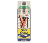 Peinture Vert Menthe Brillant Ral6029 400ml