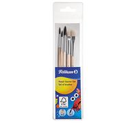 Pelikan 718163 Kit de démarrage Comprenant 1 Pinceau de Taille 2, 4, 6 et 1 Pinceau à Poils 6, 10/combiné 3er Pack Transparent