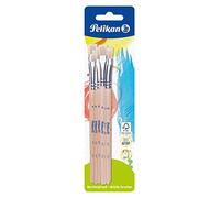 Kit de pinceau brosse 613 F, 10 pièces, assorti