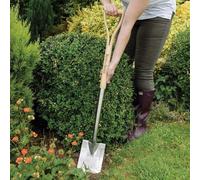 Pelle professionnelle en acier inoxydable, pour le jardin, avec manche en chêne, longueur : 104 cm