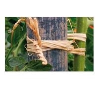 Pelote Raphia - Naturel