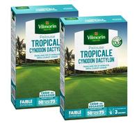 Pelouse Tropicale - Cynodon Dactylon - 500 g (x2)