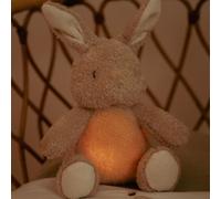 Little Dutch Lapin en peluche avec lumière et son