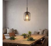 Pendentif de Lampe Suspendue Cage Vintage Plafonnier Verre Fumée Mat H Big.ligt