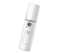 PENIKOKO Humidificateur à Brume Visage Portable USB Mini 20ml Pulvérisateur Nano Spray en Abs pour Chambre et Pièce pour Animaux Design Simple Blanc