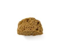 PENNELLIFICIO 2000 | Éponge Mer Naturelle Méditerranée, Éponge pour Effets Décoratifs Murs, Dimentro 14 cm, Produits de 1ère Qualité