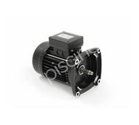 Pentair Moteur 0.75 CV Trois Phase