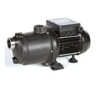 Pentair Water Pool and Spa Boost Rite 1,5 CV Mono de Catégorie Surpresseur Piscine