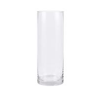 PEPAXON Vase Cylindrique en Verre Vase à Fleurs pour Décoration de Maison 10x30cm