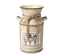 Pepoxon Vase rustique en métal blanc avec pichet à fleurs pour décoration de maison