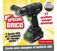 Ribimex Perceuse-visseuse à percussion R-BAT20 20 v avec batteries 2amp et 4amp