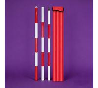 Perche prismatique en aluminium - Tige de centrage détachable avec sacs de rangement, perche de topographie robuste pour levés topographiques, marquage de chantier(3m/9.84ft)