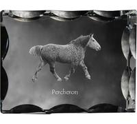 Percheron - cristal avec image de cheval, statuette en verre avec image, cadre unique avec image de la marque Art-Dog