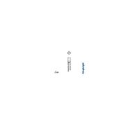 Perel 143625 Flat Top 'Lampe LED, 3 mm, rouge diffus