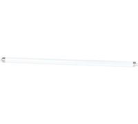Perel GIK09NLAMP Lampe à rayons ultraviolets (T8, UV, 15 W, 2,55 x 43,5 cm)