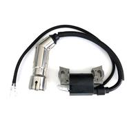 perfektGarten Bobine d'allumage compatible avec certains modèles de tondeuses à gazon Scheppach avec moteur Zongshen