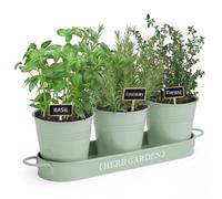 PERFNIQUE Jardin d'herbes aromatiques d'intérieur pour intérieur/extérieur, Pots de Fleurs de Ferme, kit de Jardin d'herbes aromatiques avec Plateau, Pots de fenêtre pour Plantes d'intérieur (Menthe)