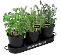 PERFNIQUE Jardinière d'herbes aromatiques d'intérieur pour intérieur/extérieur, Pots de Fleurs de Ferme, Jardin d'herbes aromatiques avec Plateau (Pot de Fleurs Uniquement)