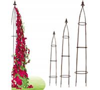 Pergola de jardin en métal Terrasse pour roses Fleurs Grille acier 180 cm de haut