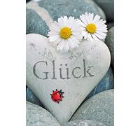 Perleberg Cartes vierges avec enveloppe, mini collection, carte sans lettrage pour toutes les occasions, cartes de vœux pour mariage, anniversaire, etc., cartes vierges, cartes de vœux 5,2 x 7,4 cm