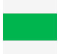 Permaset Aqua Encre pour impression sur tissu Vert moyen 1 l