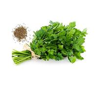 Persil Commun 2 - Sachet de 5 grammes de graines Herbes aromatique vert