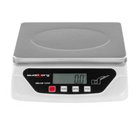 Steinberg Pèse-lettre Balance Poste Digitale Professionnelle SBS-LW-10/500 (pèse jusqu'à 10 kg à 0,5 g près, plate-forme de pesée 21,7 x 17,7 cm, unités de mesure: g, kg, lb, oz, tl, ct)