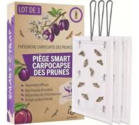 Pestmatic® Piège Smart pour Carpocapse des Prunes, Lot de 3 | Piège Adhésif de Suivi aux Phéromones, Capture Physiquement Cydia Funebrana, Sûr pour Abeilles et Oiseaux